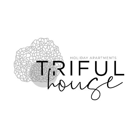 Trifulhouse Holiday Apartments 阿尔巴 外观 照片
