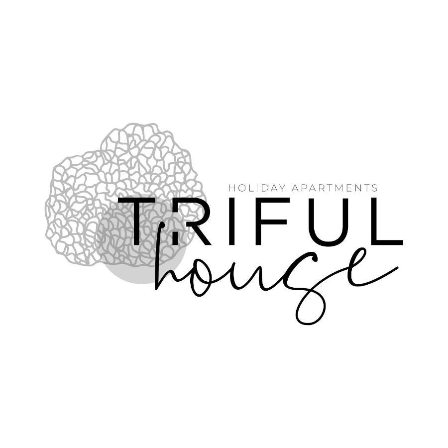 Trifulhouse Holiday Apartments 阿尔巴 外观 照片