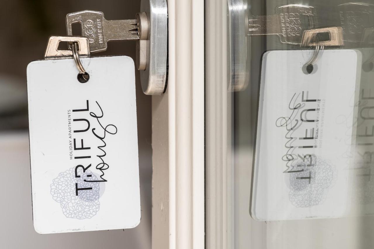 Trifulhouse Holiday Apartments 阿尔巴 外观 照片